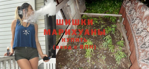 молекула духа Мещовск