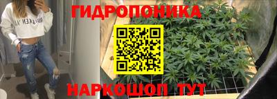 гидропоника Канаш