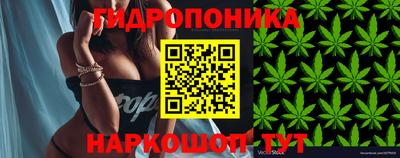 экстази Кандалакша