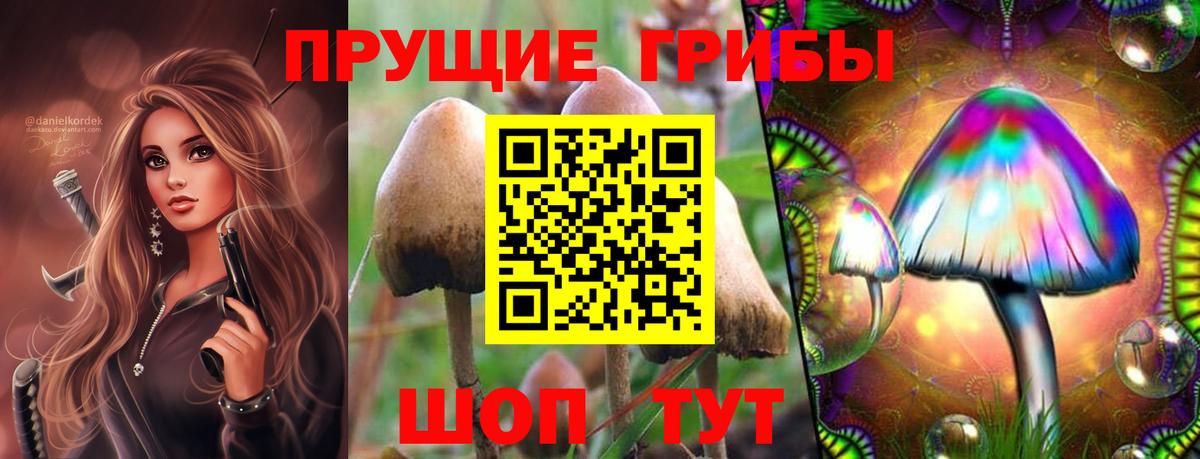 купить  сайты  Вход с VPN  Соль-Илецк  Галлюциногенные грибы MAGIC MUSHROOMS  Псилоцибиновые грибы ЛСД 