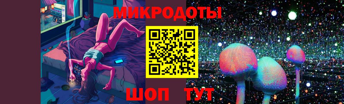 Галлюциногенные грибы Psilocybine cubensis Соль-Илецк
